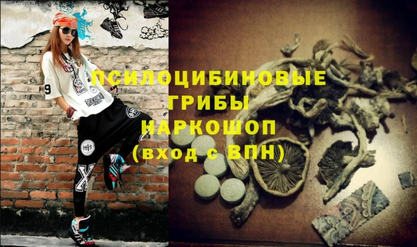 соль ск Богданович