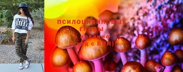 соль ск Богданович