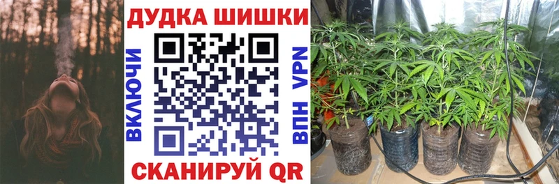 kraken зеркало  сколько стоит  Верещагино  Марихуана индика 
